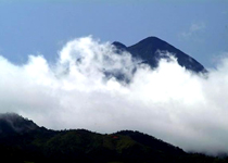 大田大仙峰自然保护区天气