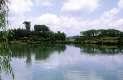 三明格氏栲自然保护区