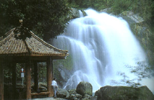 台湾内洞森林游乐区天气