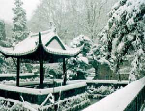 滁州清流瑞雪天气