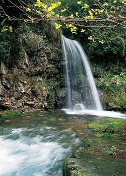 宣城柏枧山天气